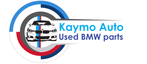 Website Logo
